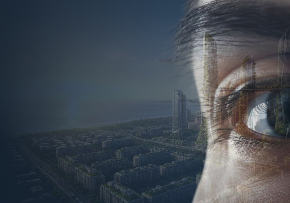 Vision